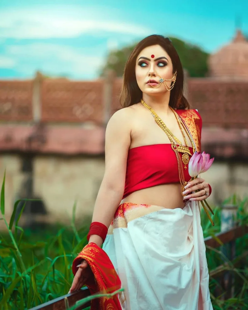 taant saree