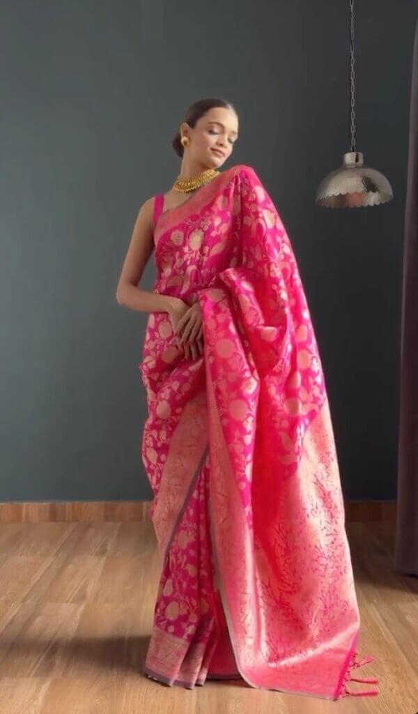sajhd monalisha mohapatra saree influencers