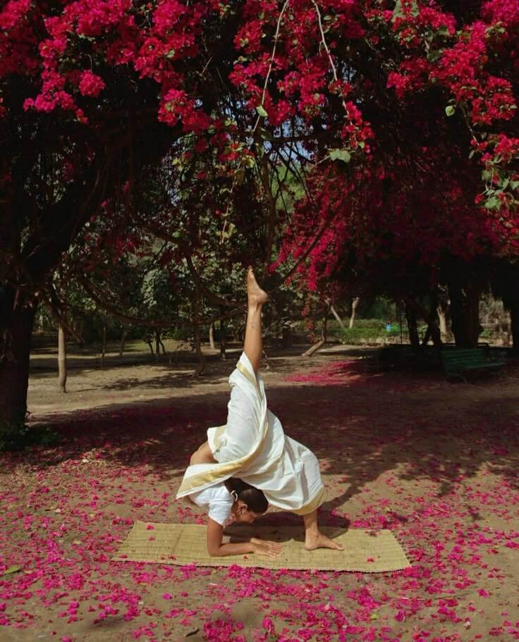 yoga saree