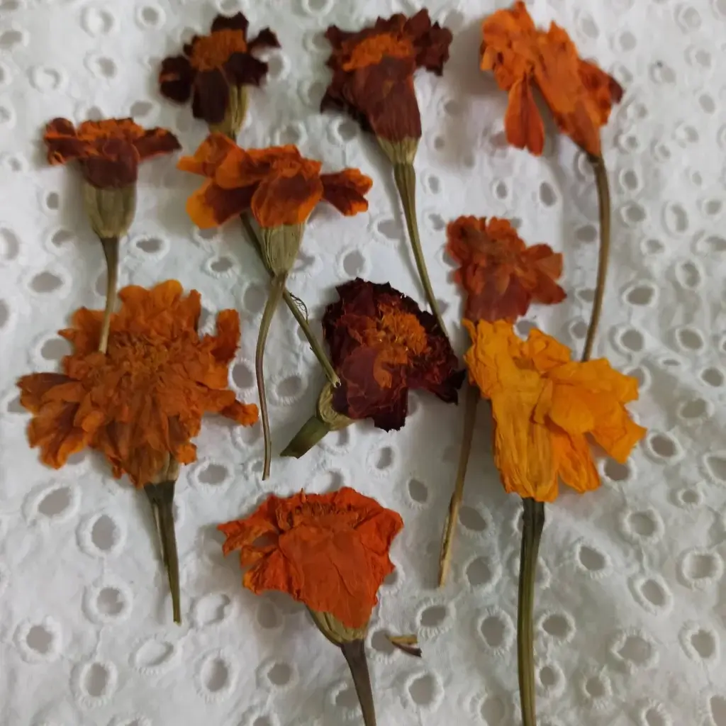 dried flowers for floral sarees